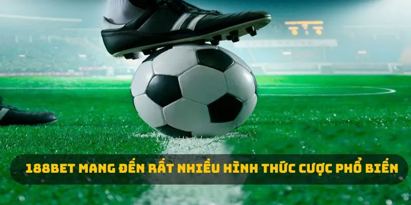 188BET mang đến rất nhiều hình thức cược phổ biến 