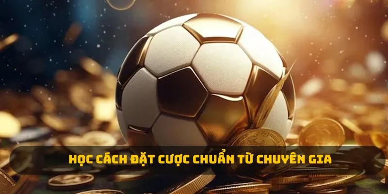 Học cách đặt cược chuẩn từ chuyên gia 