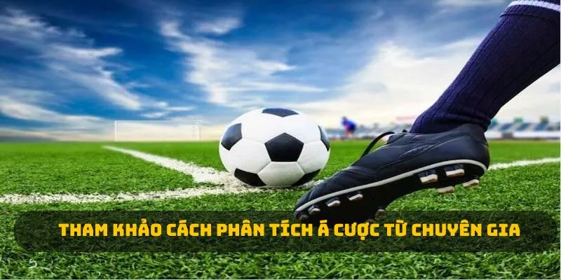 Tham khảo cách phân tích á cược từ chuyên gia 